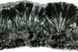 Polished Seraphinite Slab - Siberia #183487-1